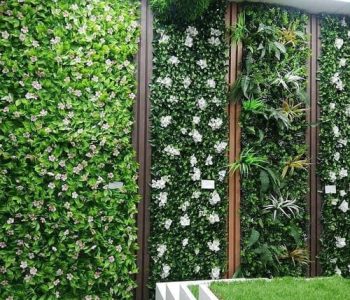 WhatsApp-Image-2022-08-09-at-3.32.22-AM-3-1