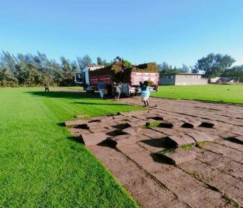 WhatsApp-Image-2022-09-18-at-11.26.20-PM