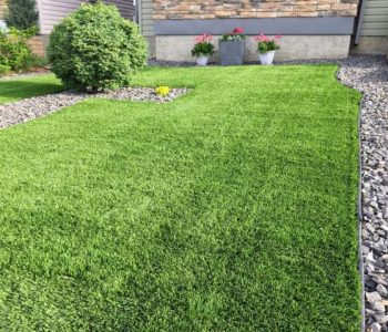 istockphoto-1153945714-612x612