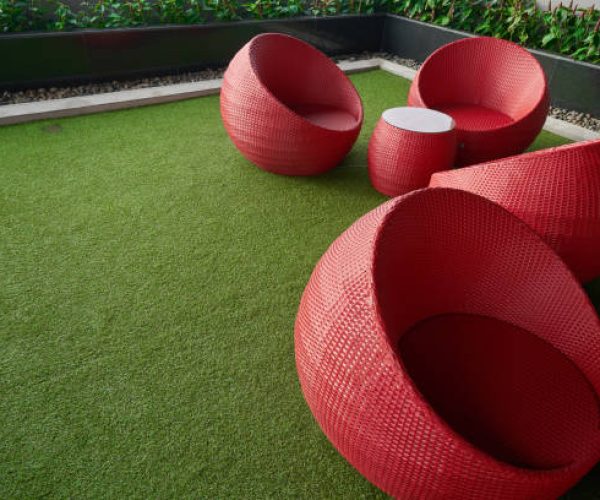 scenic of relax zone with red wheats seat on grass floor