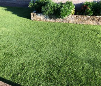 istockphoto-1301285598-612x612