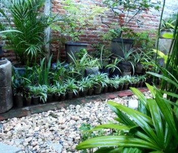 istockphoto-1412659301-612x612