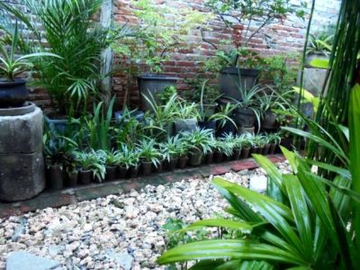 istockphoto-1412659301-612x612