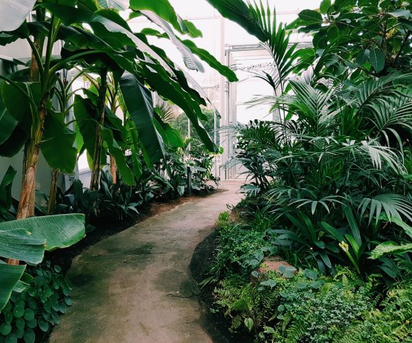 pexels-daniel-frese-1055408-min